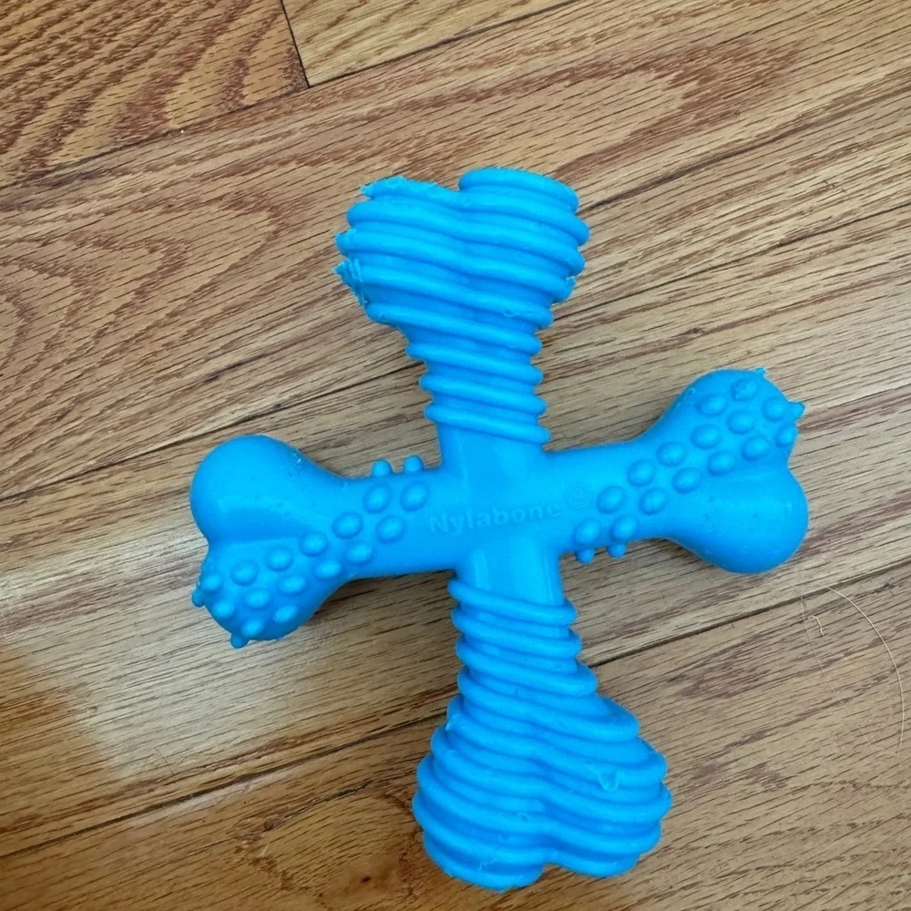 Nylabone good chewed